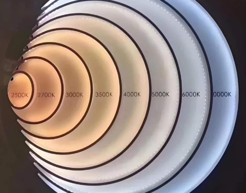 info-960-754 info-960-754